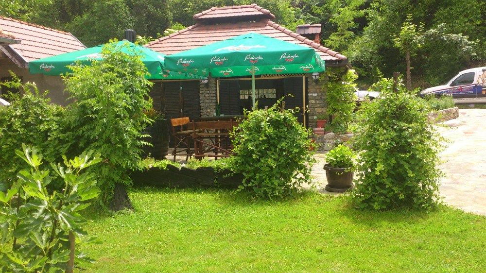 mekic (4)